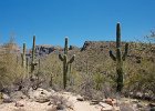 IMG 7547
