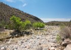 IMG 7556
