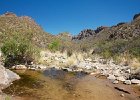 IMG 7561