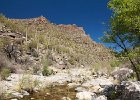 IMG 7571