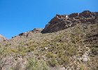 IMG 7574
