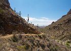 IMG 7590