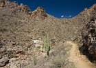 IMG 7598