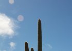 IMG 7629