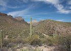IMG 7653