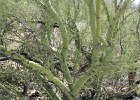 IMG 7661