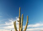 IMG 7700