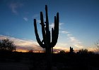 IMG 7717