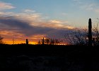 IMG 7733