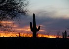 IMG 7739