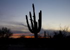IMG 7757