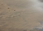 IMG 0426