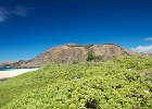 IMG 0445