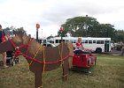 IMG 9797