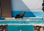 IMG 6772