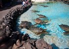 IMG 6851