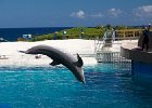 IMG 6929
