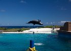 IMG 6954