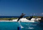 IMG 6969