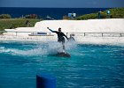 IMG 6983