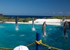 IMG 7017