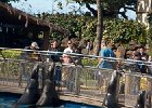 IMG 7174