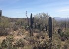 IMG 1712