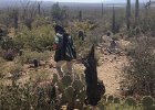 IMG 1716