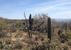 IMG 1766