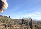 IMG 1767