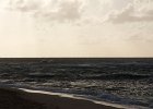 IMG 7401
