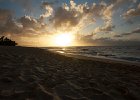 IMG 7431