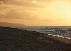 IMG 7447