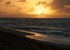 IMG 7457