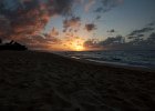 IMG 7458