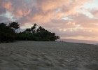 IMG 7463
