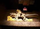 IMG 0653