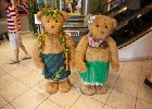 IMG 0885