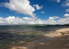 IMG 7231