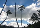 IMG 7235