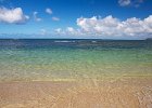 IMG 7241