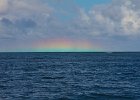 IMG 7262