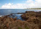 IMG 7317