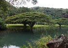 IMG 6957
