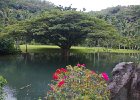 IMG 6962