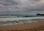 IMG 6977