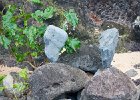 IMG 7026