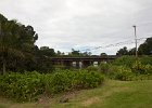 IMG 7059