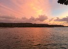 IMG 7949