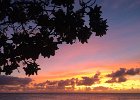 IMG 7955